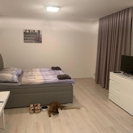 Modern Apartment In The City Center Plzeň Exterior foto